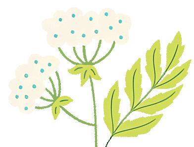 1689749640659677.gif 01.gif