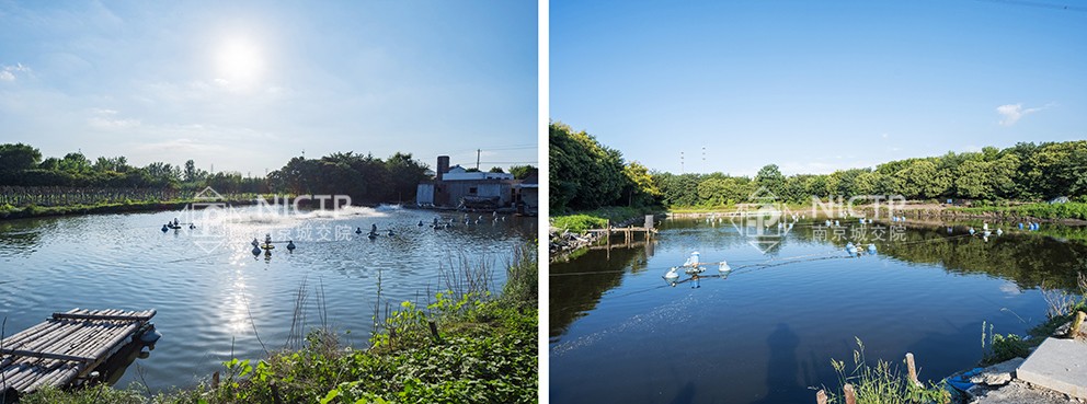 1702430008100066.jpg 05-1溫泉養(yǎng)魚.jpg